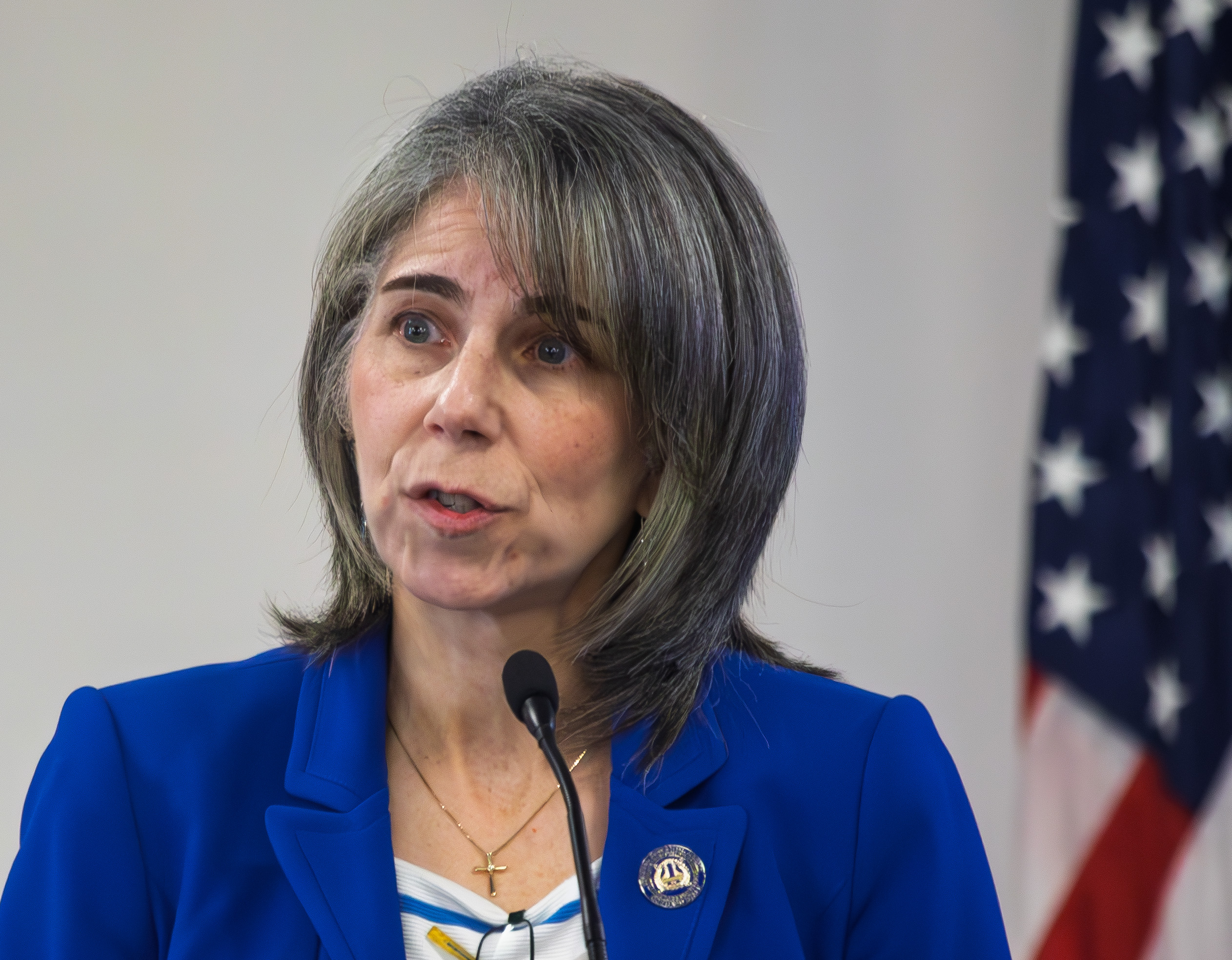 Allison C. de Cerreño, Ph.D., Chief Operating Officer, MTA Bridges and Tunnels on New York’s Congestion Relief Zone